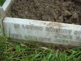image of grave number 613556